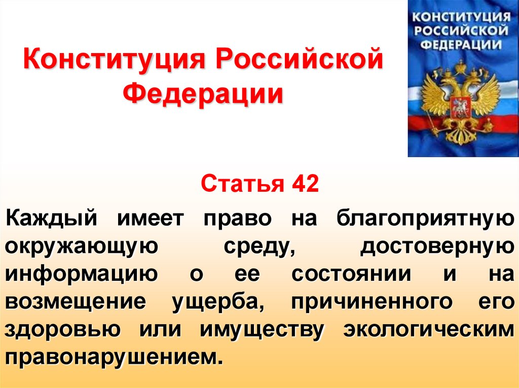 Российской федерации имеют право свободно. Конституция Российской Федерации. Статьи Конституции. Статья 42. Ст 42 Конституции.