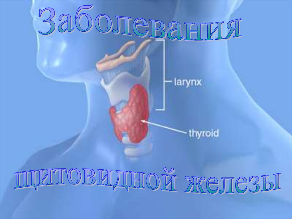 Тест заболевания щитовидной железы