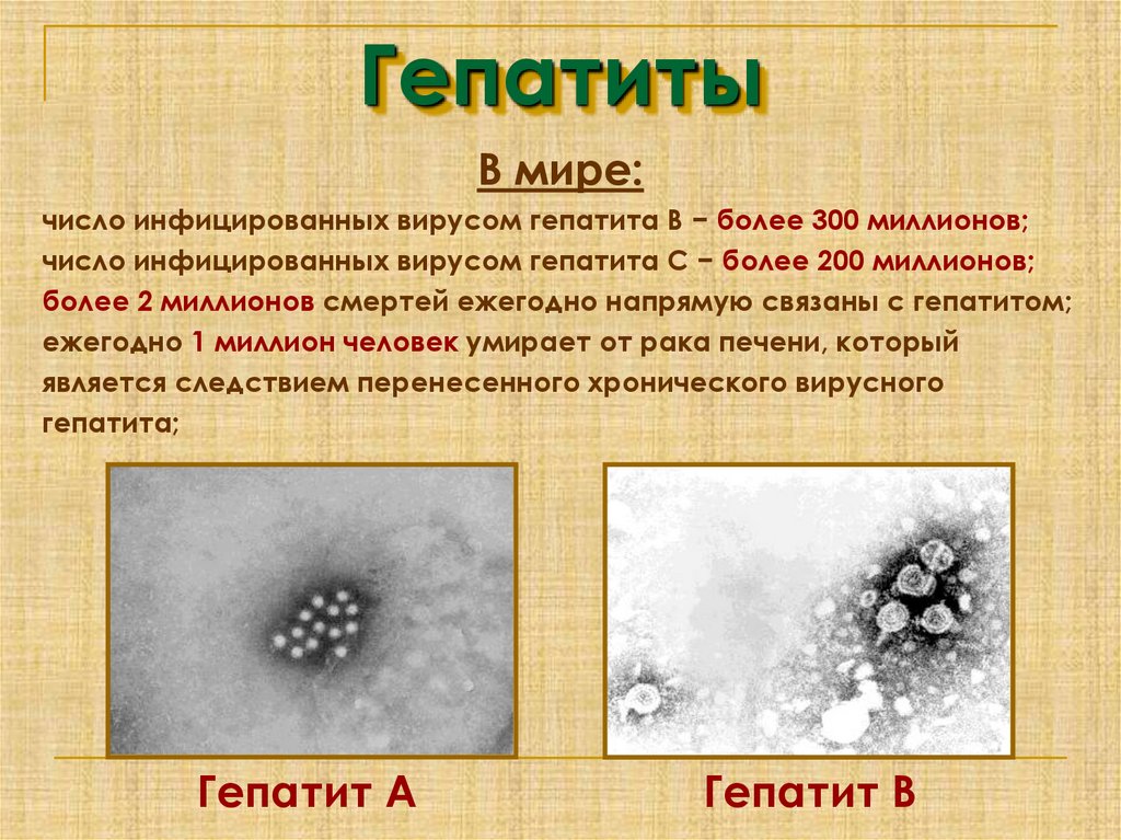 Типы вирусных гепатитов