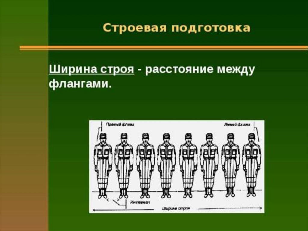 Ширина строя это. Ширина строя строевая подготовка. Строевая подготовка фланг. Фланг строя.