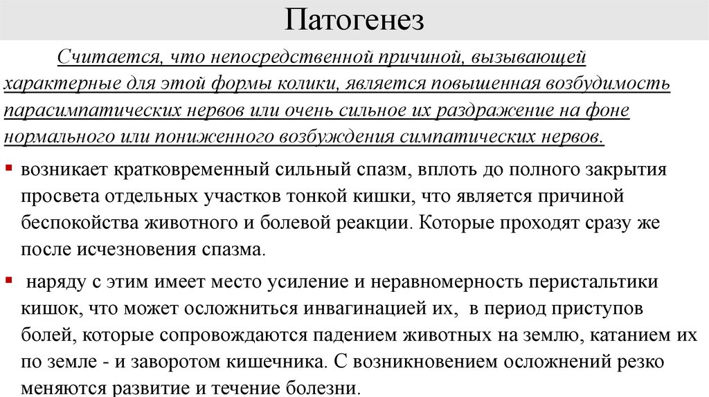 Алгический или спастический характер. Колики у лошадей презентация.