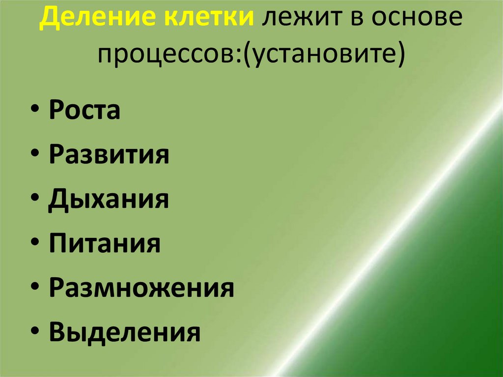 План что лежит в основе роста организмов