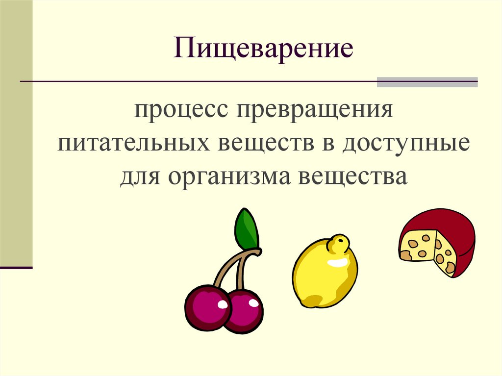 В какой части находятся питательные вещества