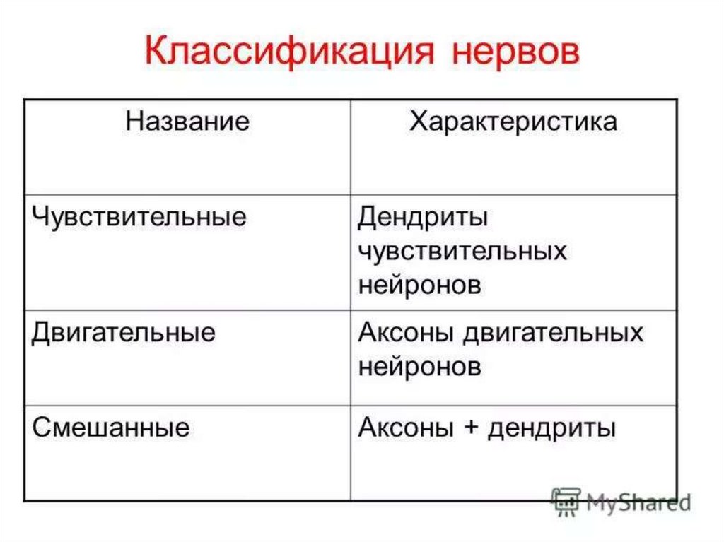 Нервная называть. Классификация нервов. Нервы классификация. Нервы классификация и функции. Нерв классификация строение.