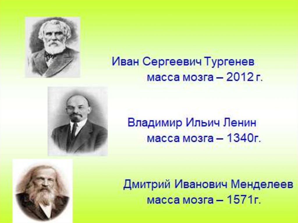 Масса мозга. Тургенев масса мозга. Менделеев масса мозга. Вес мозга Эйнштейна и Тургенева. Мозг Ивана Тургенева.