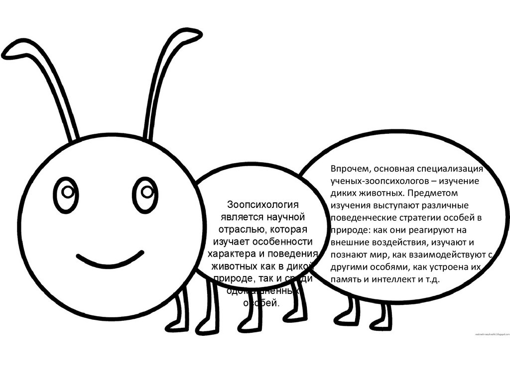 Зоопсихолог – это психолог, специализирующийся на поведении животных ...