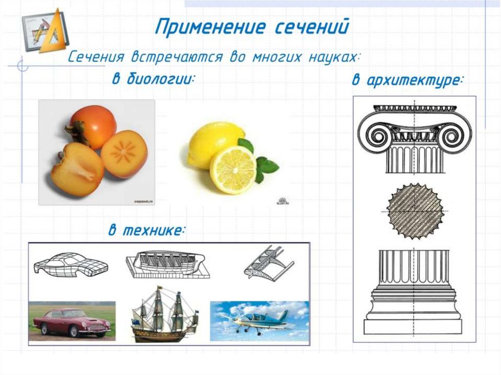 Сечения - презентация онлайн