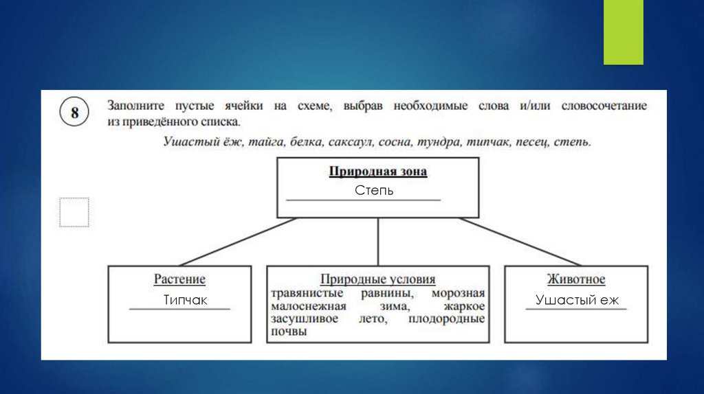 Заполнить пустые ячейки