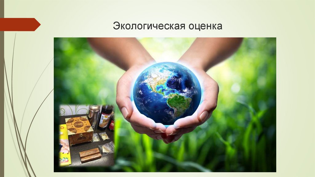 Экологическая оценка