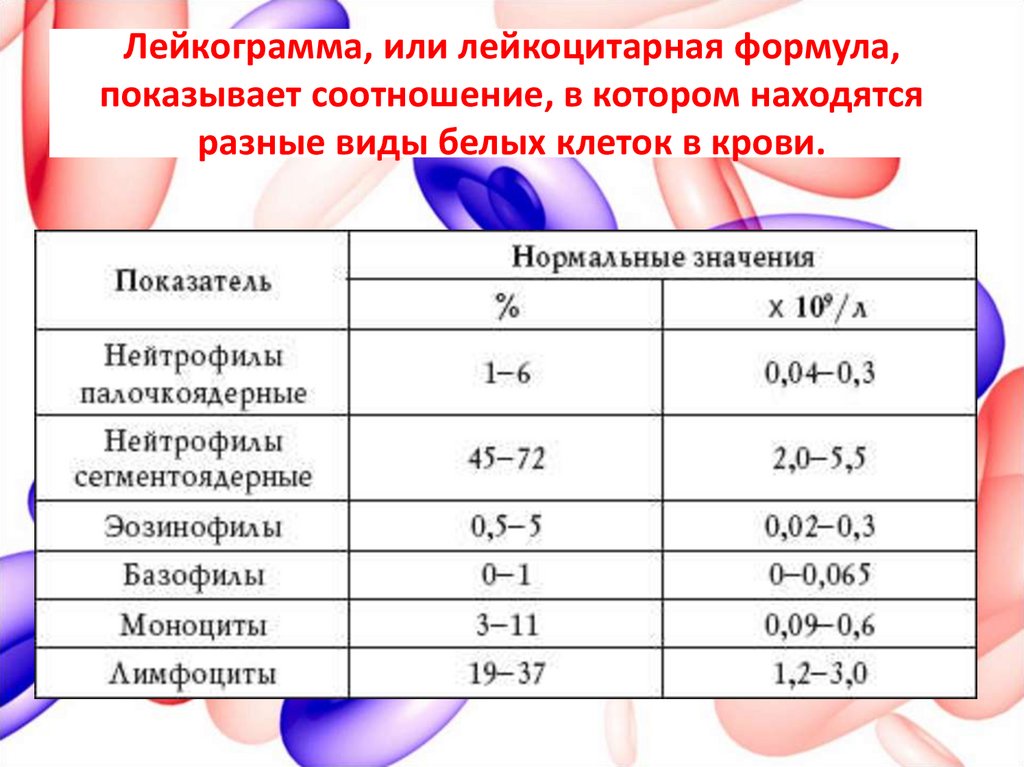 Лейкоцитарная формула фото