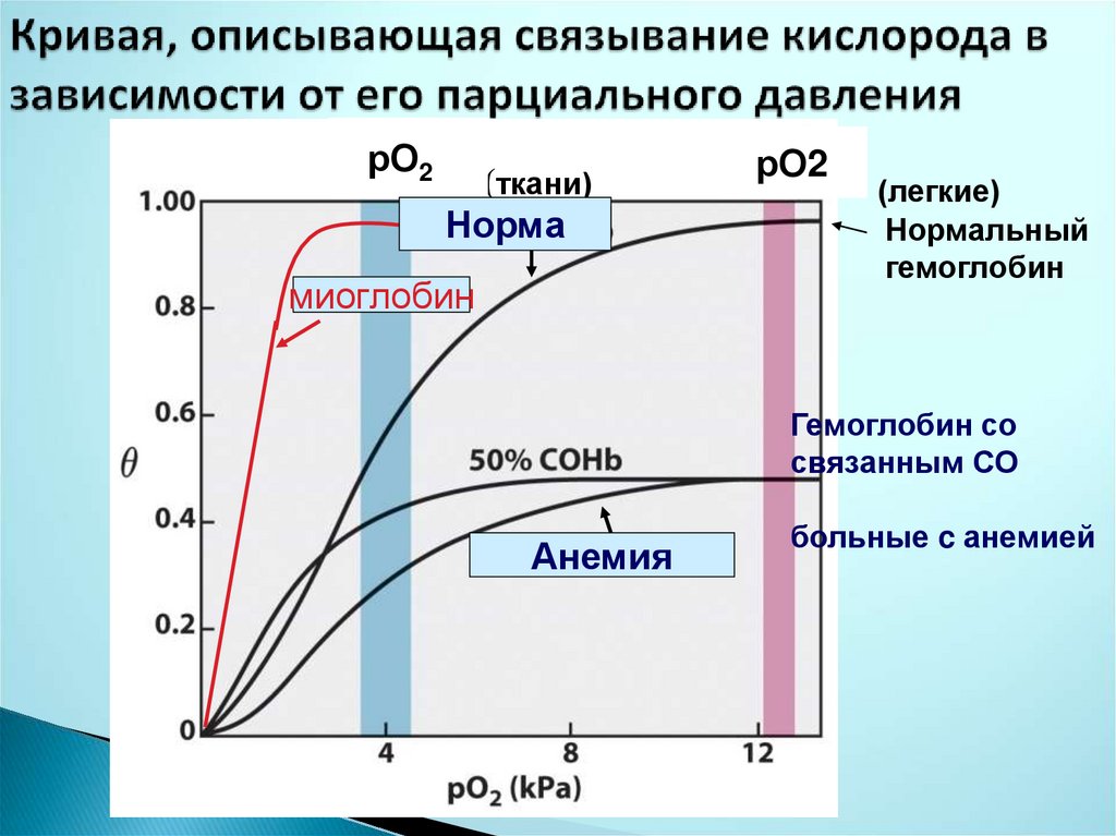 Парциальное давление кислорода. Парциальное давление кислорода в крови норма. Снижение парциального давления кислорода. Парциальное давление кислорода в воде. Парциальное давление кислорода норма.