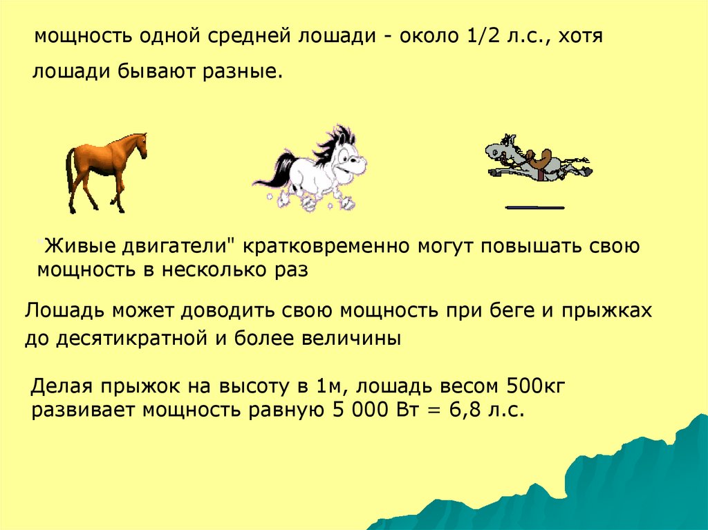 В среднем 1 7. Средняя масса лошади. Средний вес лошади. Вес взрослой лошади. Средний вес лошади взрослой.