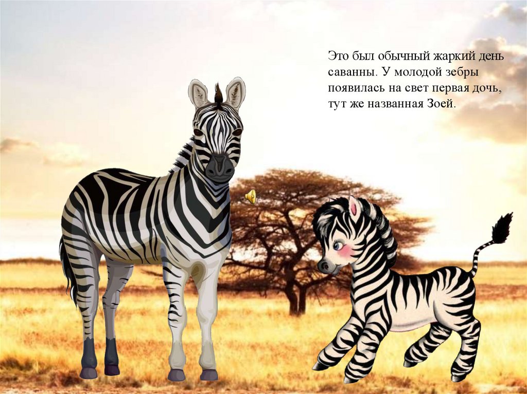 Текст окраска у зебр особая