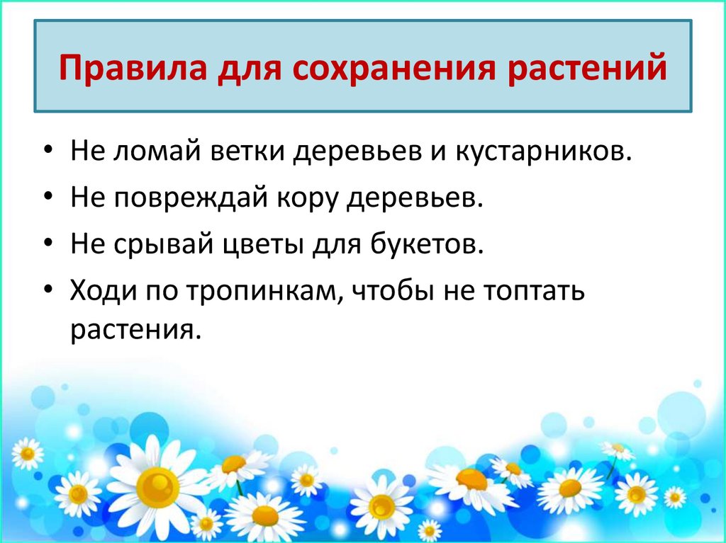 Меры сохранения растений. Сохранение растений. Способы сохранения растений. Правила для сохранения редких растений. Правила охранение растения.