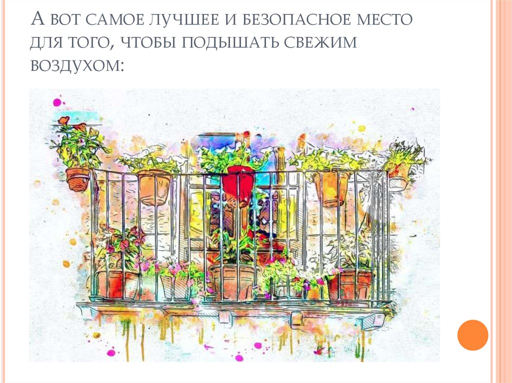 А вот самое лучшее и безопасное место для того, чтобы подышать свежим воздухом: