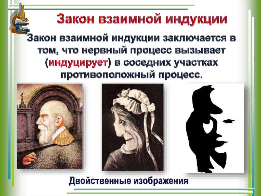 Вклад отечественных ученых в разработку учения. Закон взаимной индукции. Закон взаимной индукции биология. Взаимная индукция. Явление взаимной индукции.