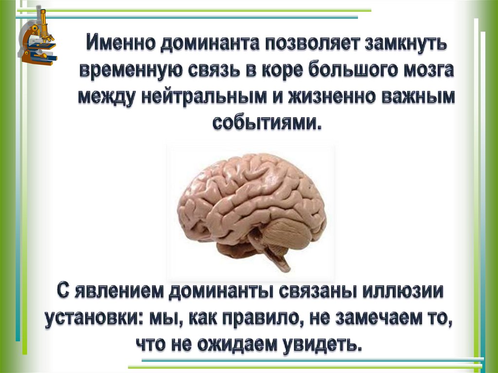 Презентация по биологии 8 класс вклад отечественных ученых в разработку учения о внд