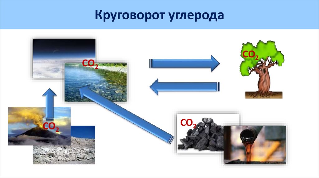Нахождение в природе оксида углерода