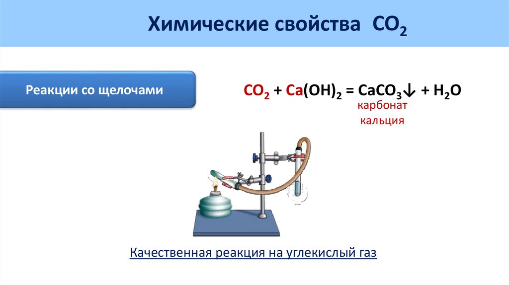 Гидрокарбонат калия и углекислый газ