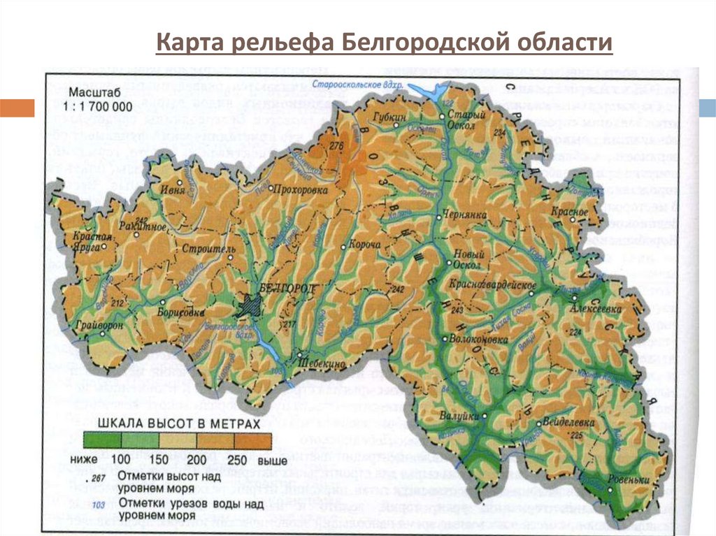 Карта белгородской области с городами и селами и дорогами деревнями