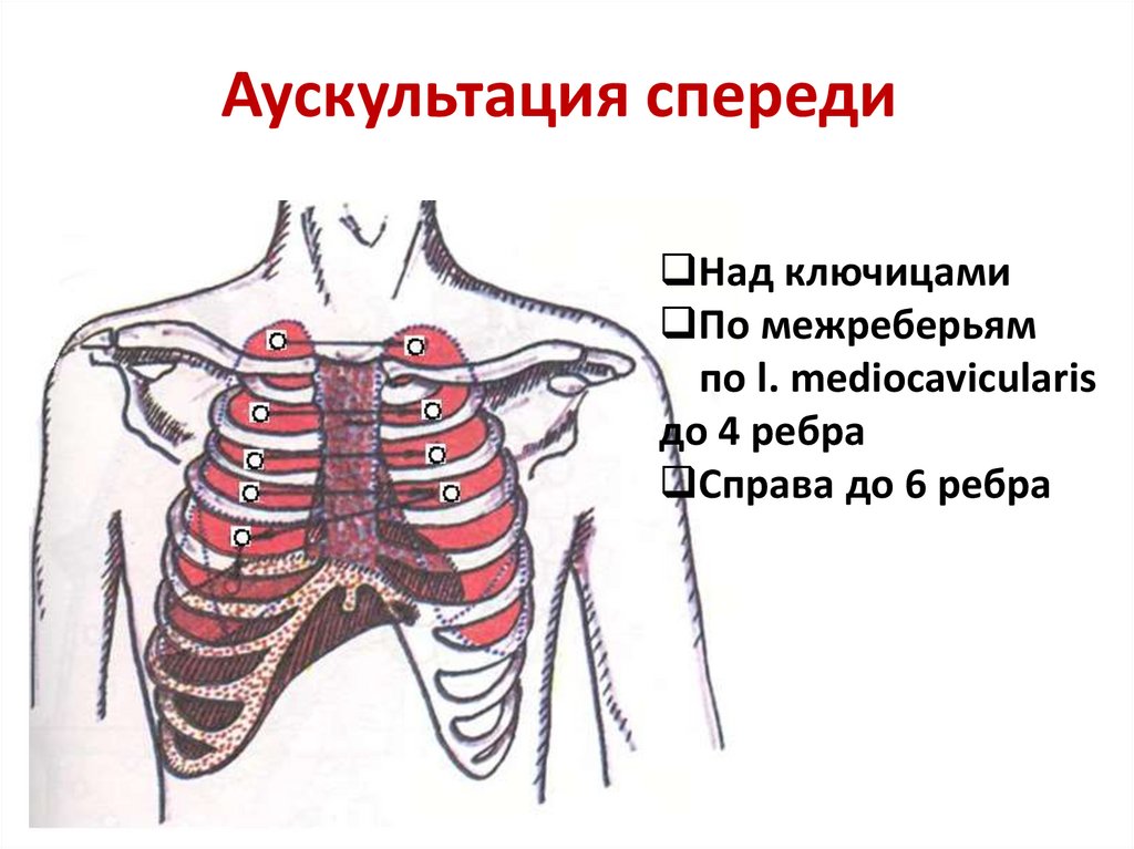 Аускультация легких