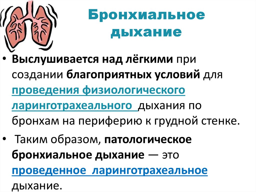 Бронхиальное дыхание звук. Физиологическое бронхиальное дыхание.