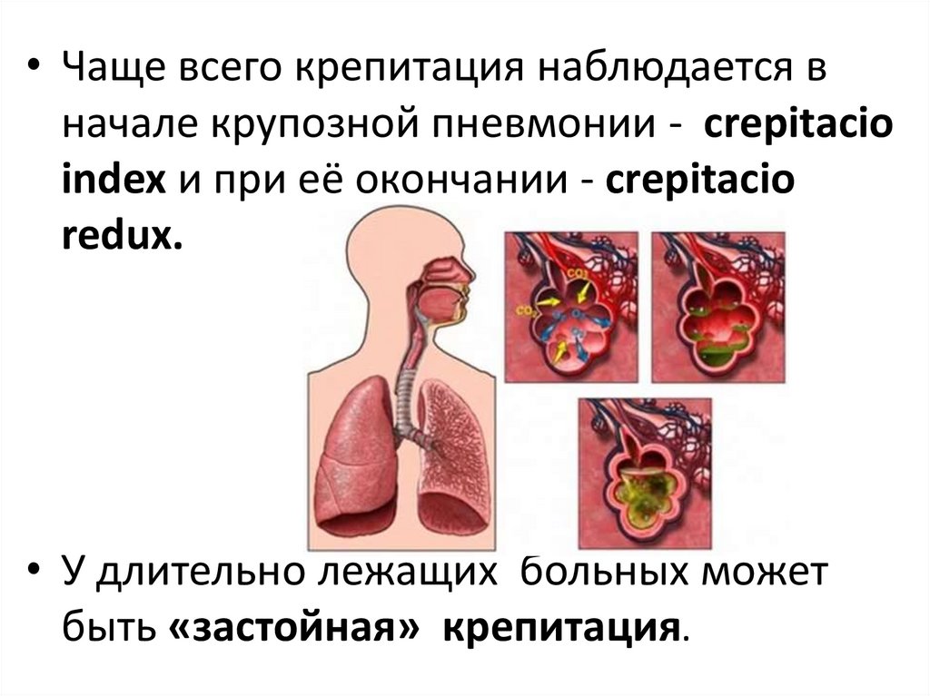 Самые легкие презентации