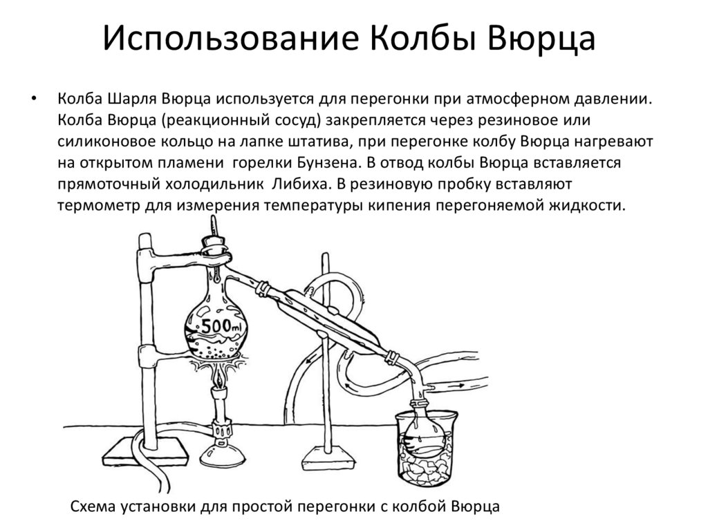 Колба вюрца рисунок