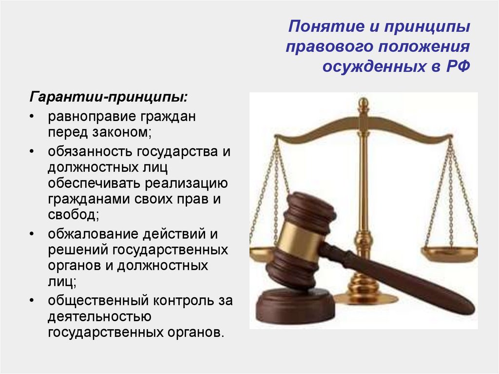 Принцип правового государства в конституции рф