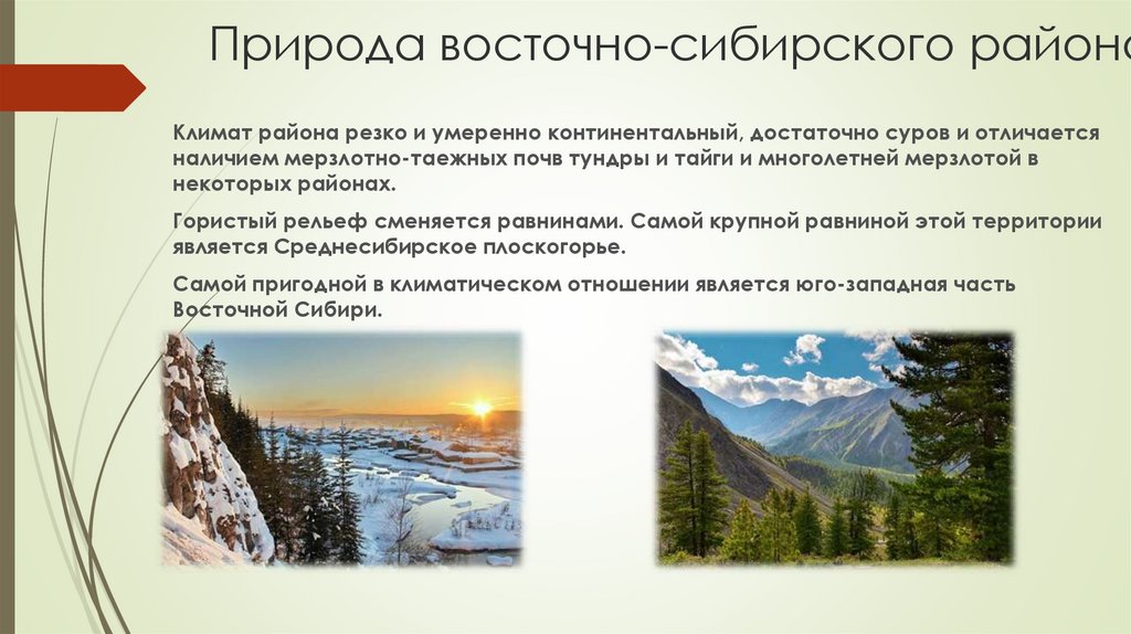 Отрасли специализации восточной сибири и их центры. Восточно Сибирский район. Восточно-Сибирский район презентация 9 класс. Восточный Сибирский район вывод. Восточно Сибирский район природные условия и ресурсы.