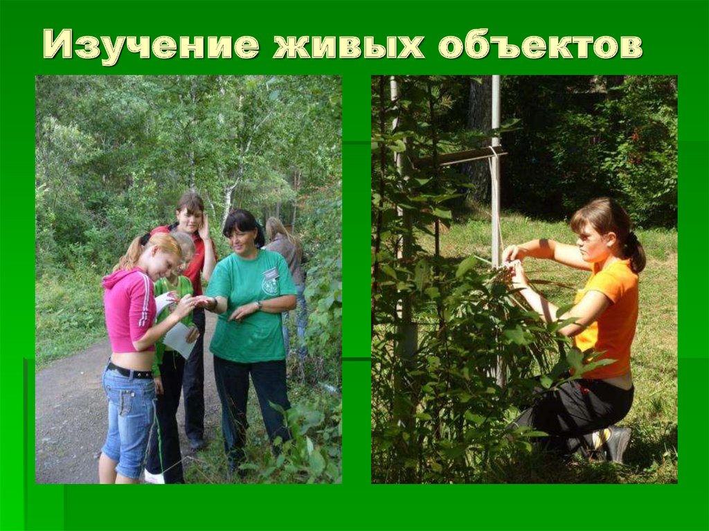 Изучение живых объектов