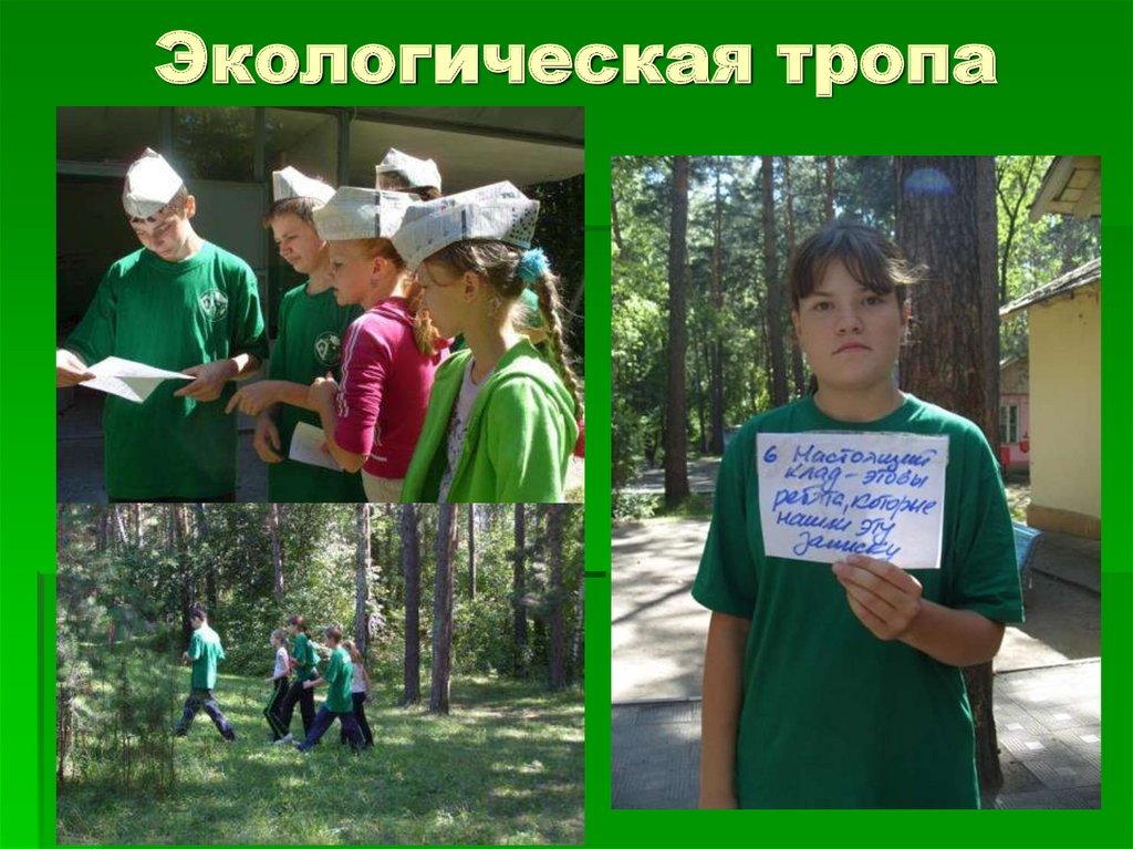 Экологическая тропа