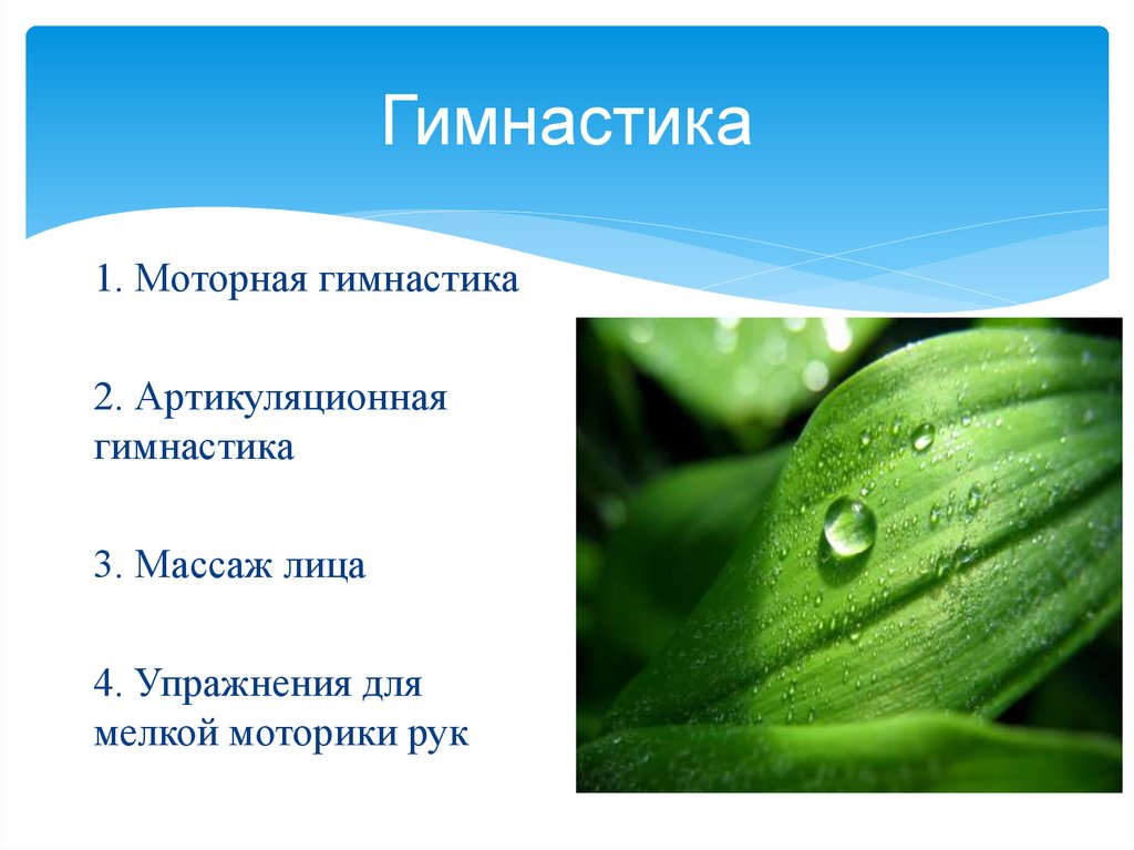 Гимнастика