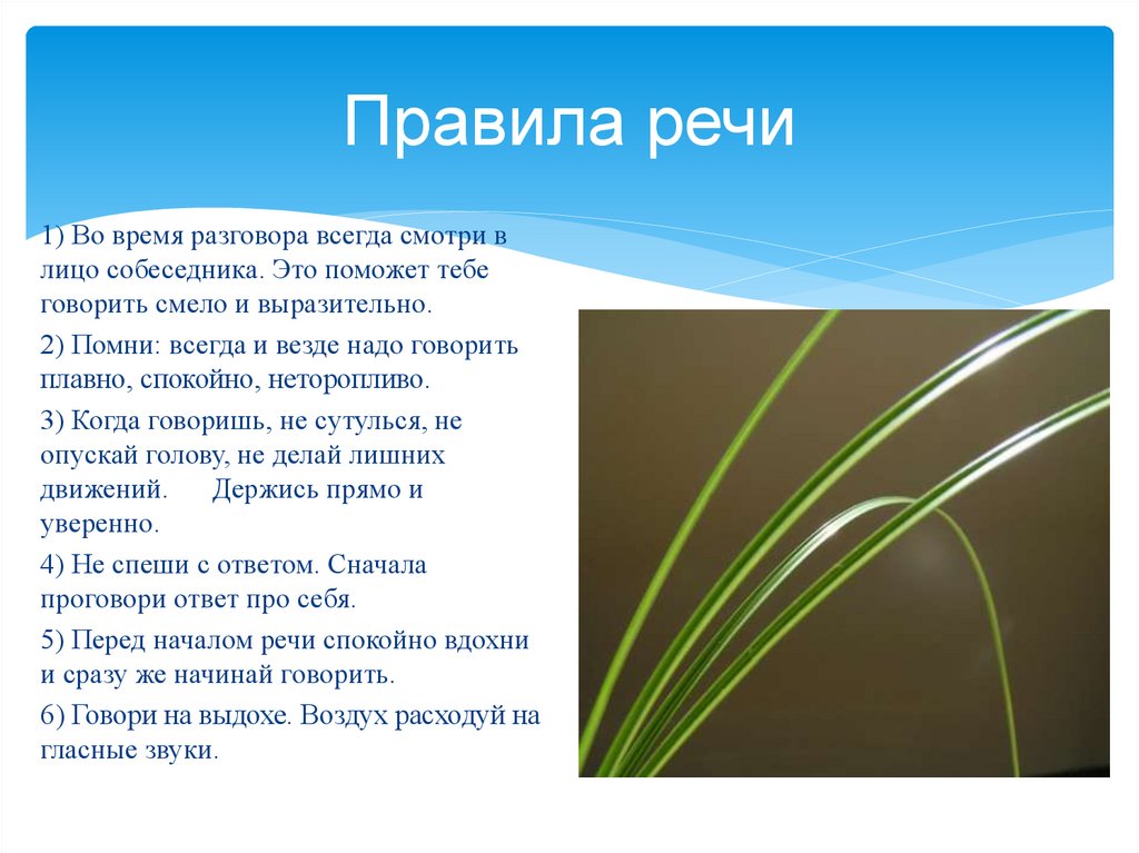 Правила речи