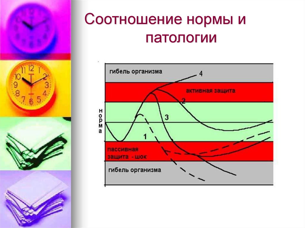 Нормальная тема. Соотношение нормы и патологии. Норма и патология. Взаимосвязь нормы и патологии. Норма и патология схема.