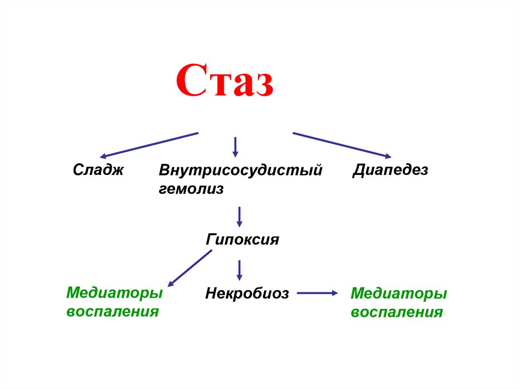 Стаз это