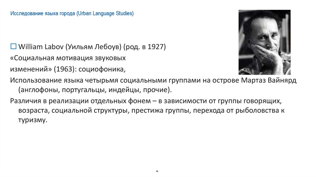 Исследование языка города (Urban Language Studies)