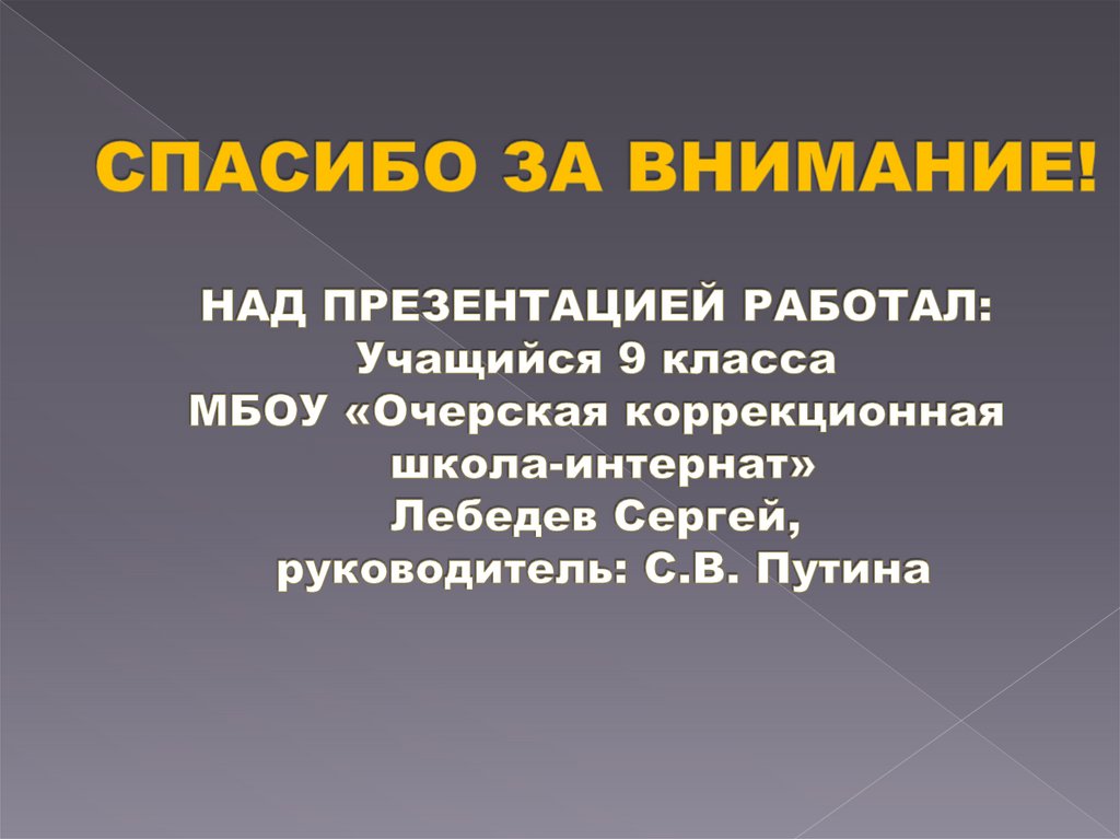 СПАСИБО ЗА ВНИМАНИЕ! НАД ПРЕЗЕНТАЦИЕЙ РАБОТАЛ: Учащийся 9 класса МБОУ «Очерская коррекционная школа-интернат» Лебедев Сергей,