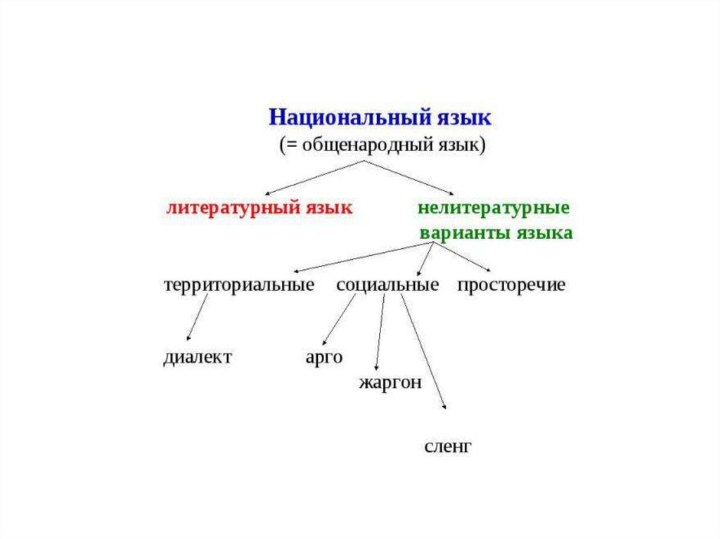 Модели литературного языка