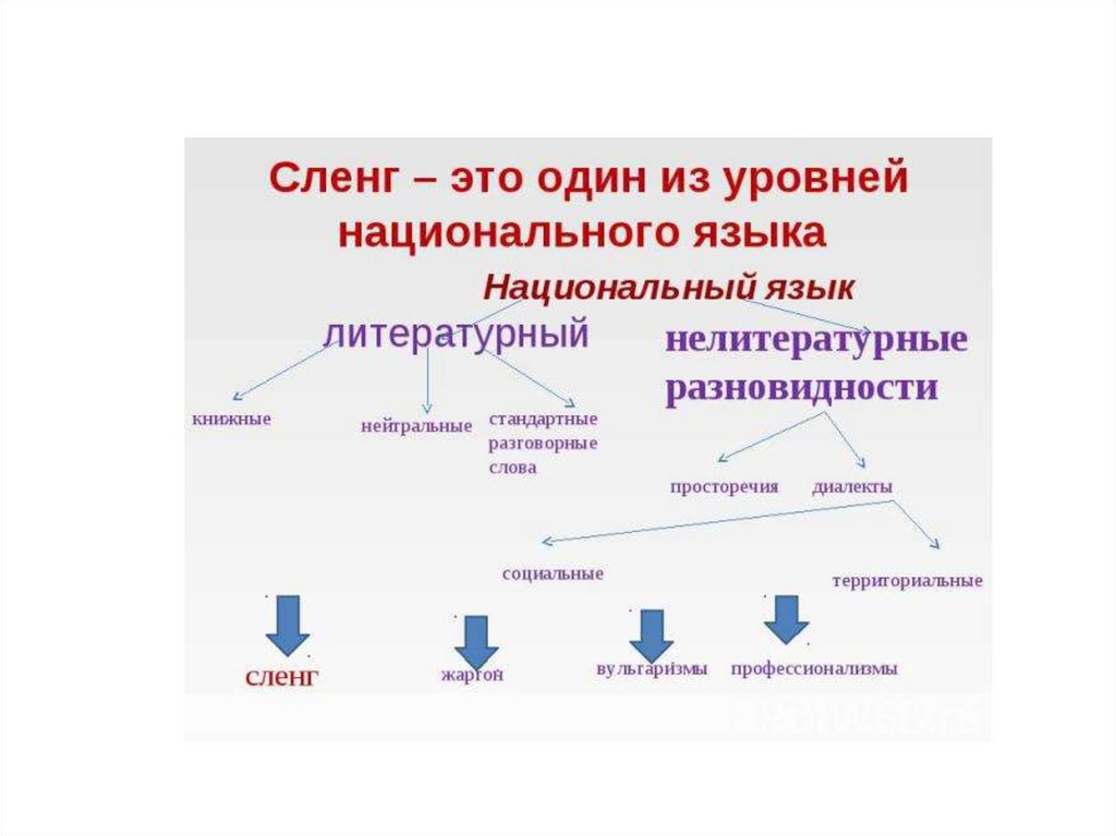 Модели литературного языка