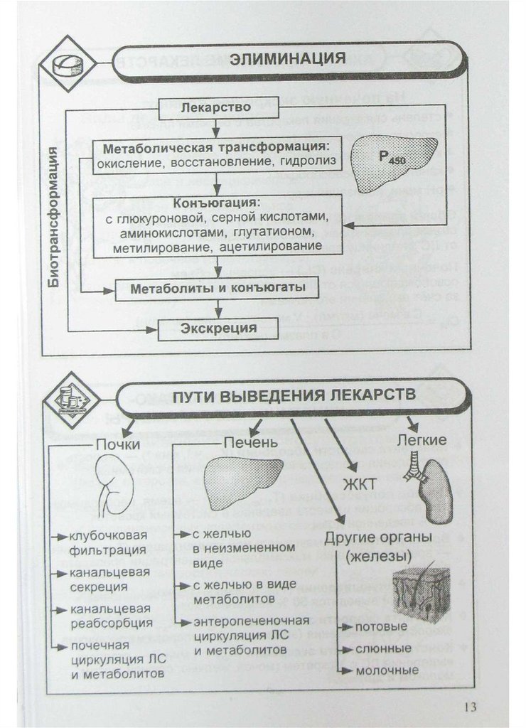 Фармакология в таблицах и схемах годован