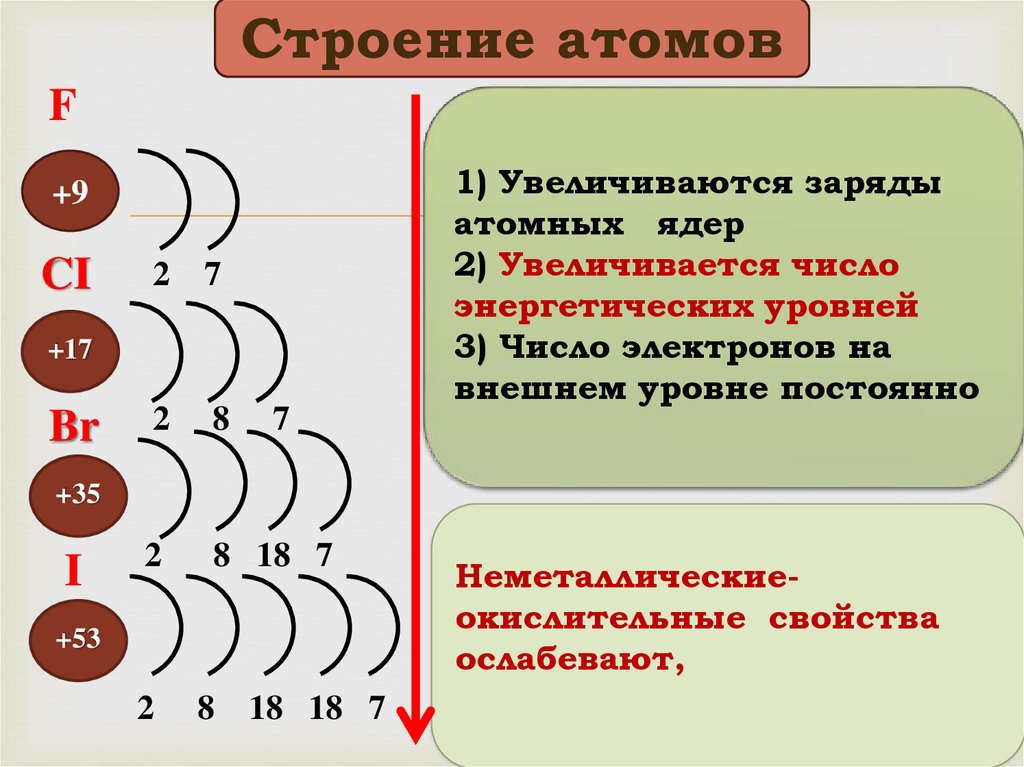 Как узнать число внешних электронов. Внешний уровень атома. Число энергетических уровней. Внешний энергетический уровень. Электронная схема галогена.