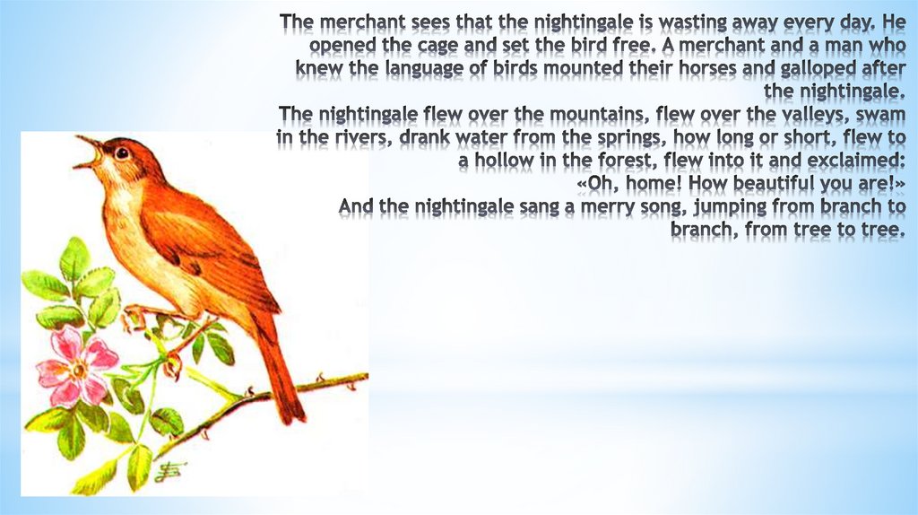 The merchant sees that the nightingale is wasting away every day. He opened the cage and set the bird free. A merchant and a