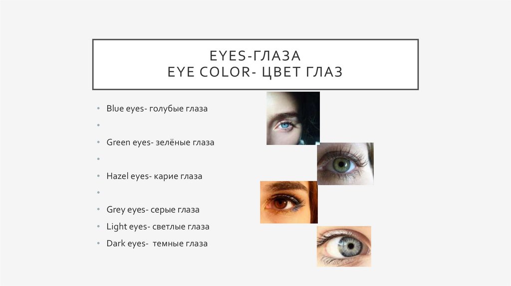 Eyes-глаза Eye color- цвет глаз