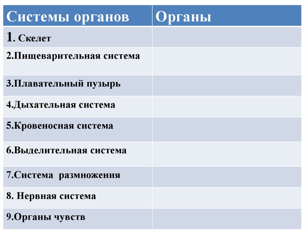 Почему проект документа называют рыбой