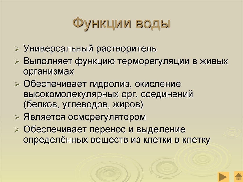 Дополните схему функции воды в организме человека