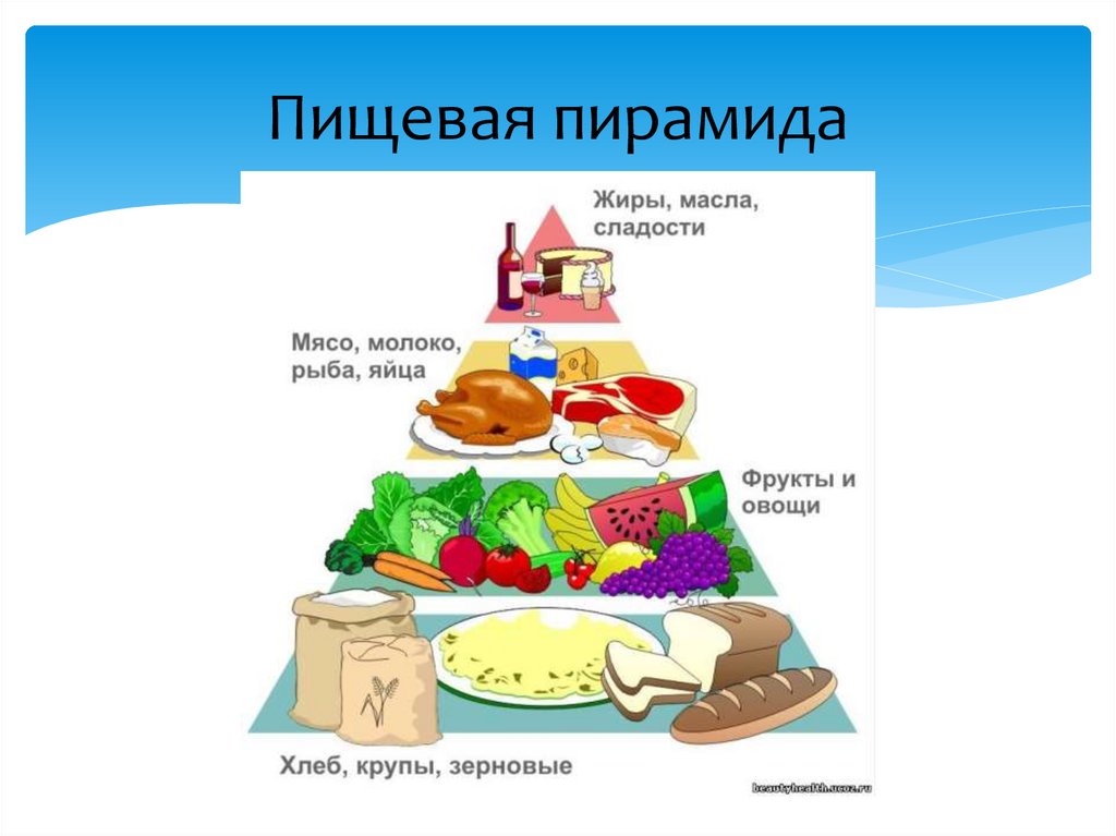 Пирамида 5 класс. Технология пищевая пирамида. Пищевая пирамида 5 класс. Пирамида питания 5 класс технология. По технологии своя пирамида питания.