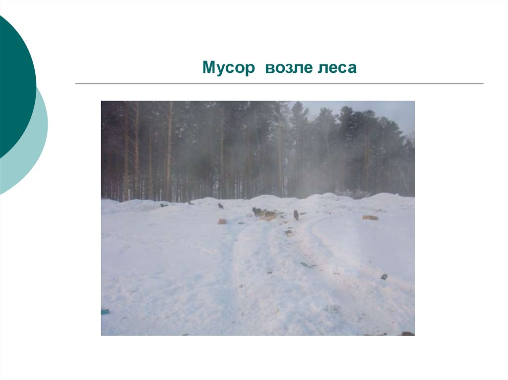 Мусор возле леса