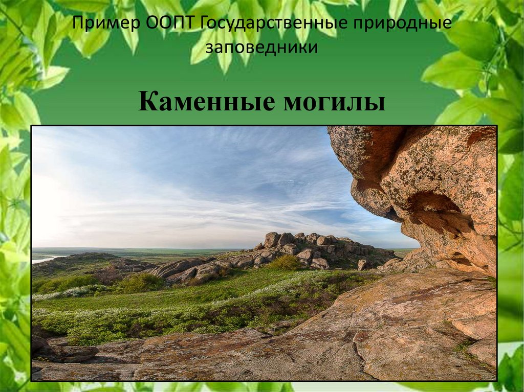 Пример ООПТ Государственные природные заповедники Каменные могилы