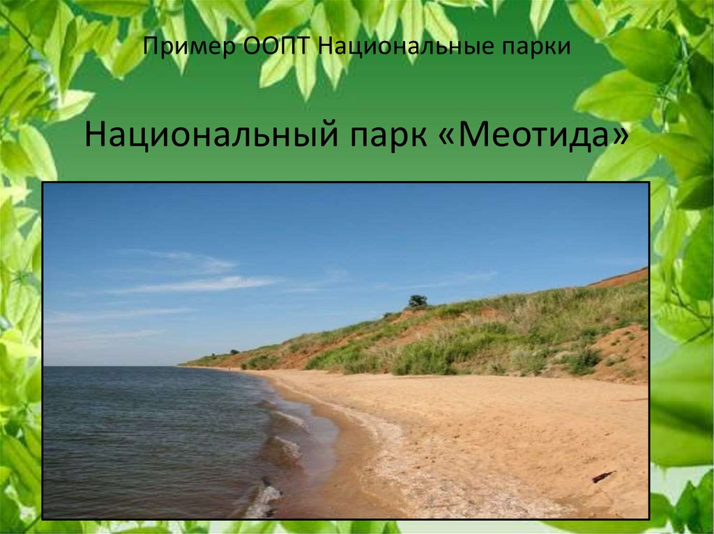 Пример ООПТ Национальные парки Национальный парк «Меотида»
